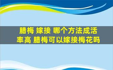 腊梅 嫁接 哪个方法成活率高 腊梅可以嫁接梅花吗